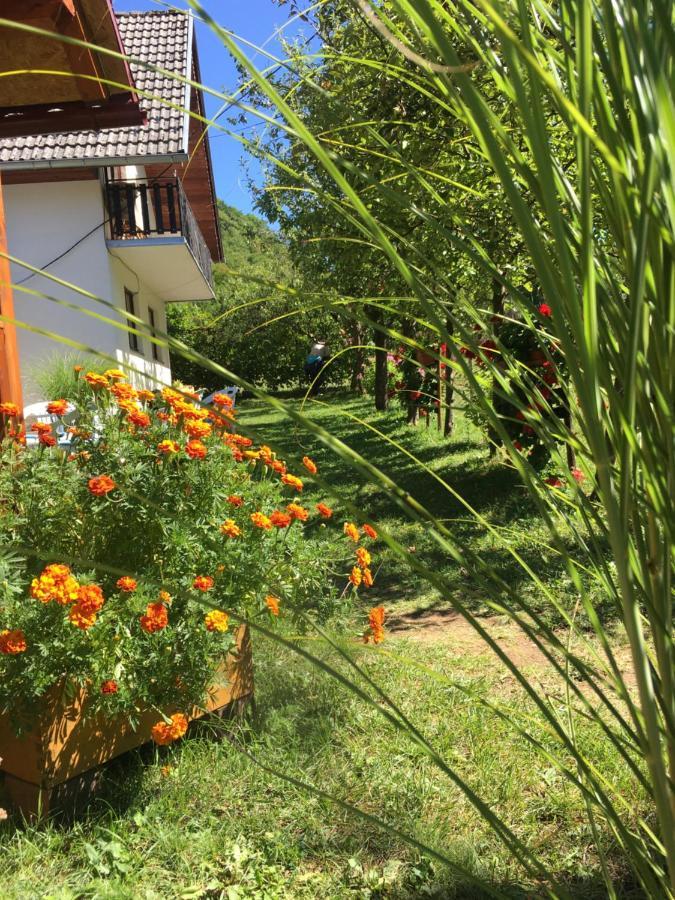 Domacinstvo Ubovic *